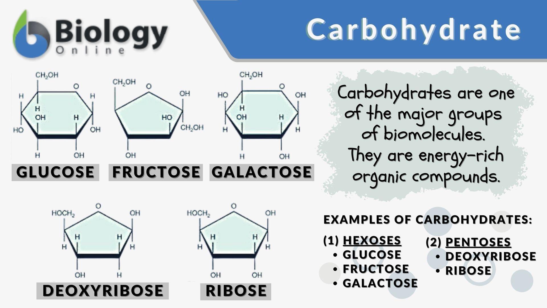 carbohydrate-definition-meaning-car119